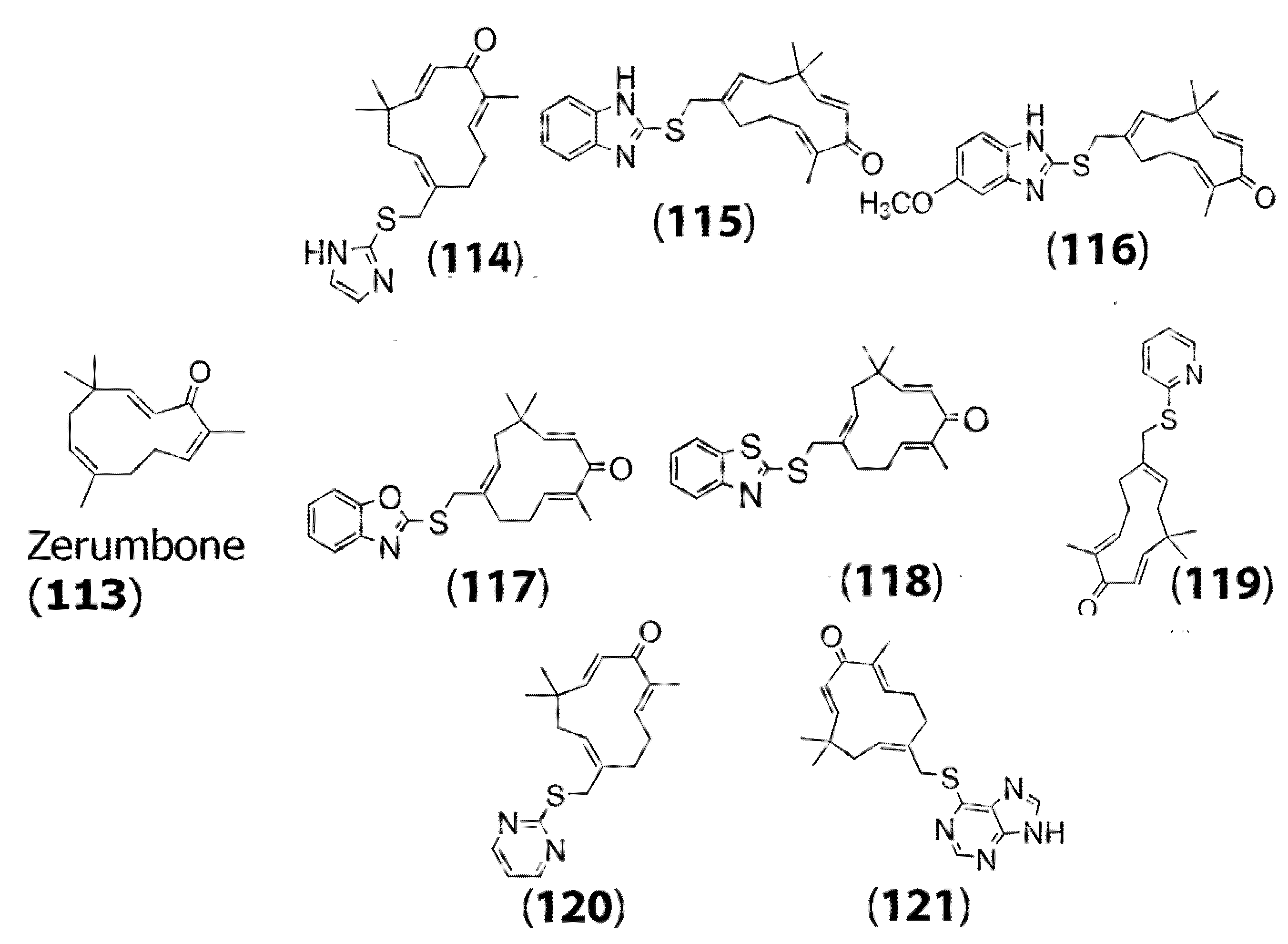 Molecules 30 04302 g004 Molecules 30 04302 g004