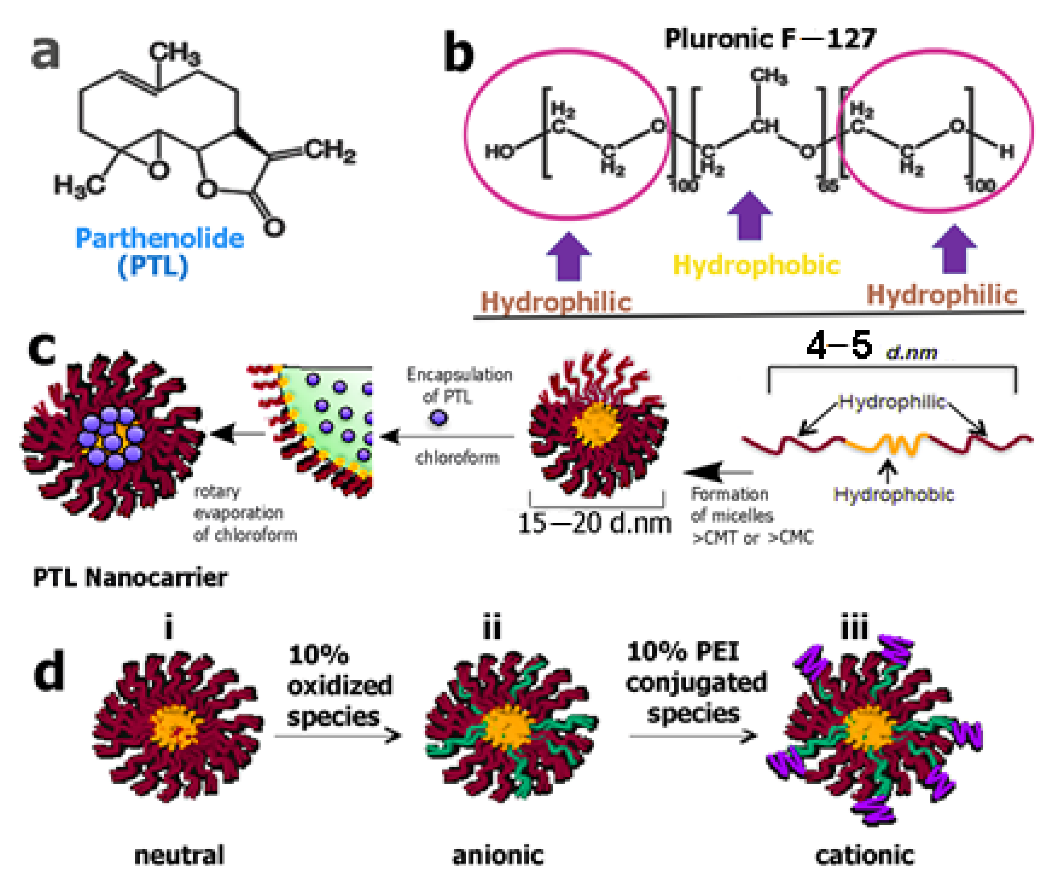Molecules 30 04302 g008 Molecules 30 04302 g008