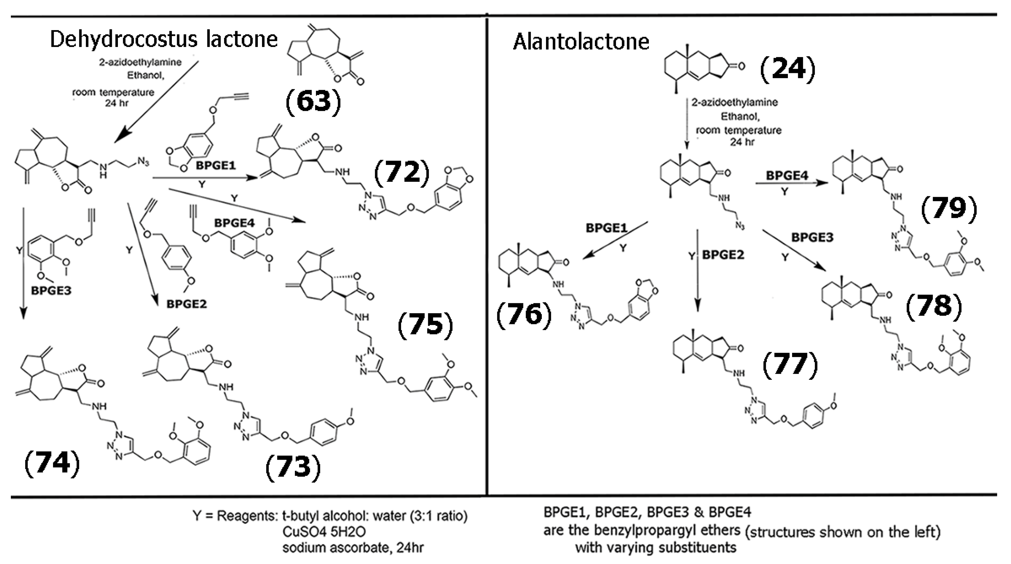 Molecules 30 04302 sch004 Molecules 30 04302 sch004