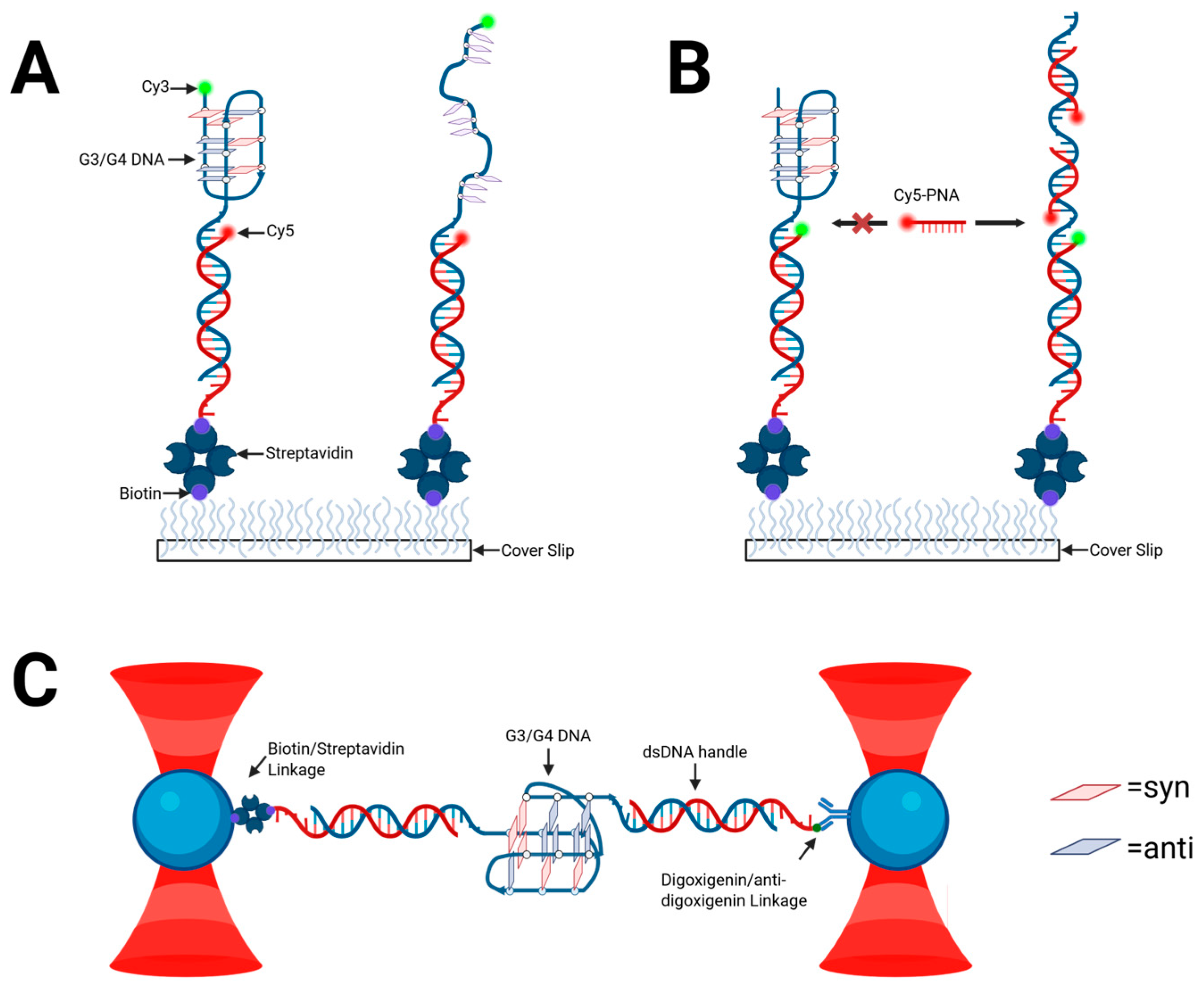 Molecules 30 04303 g004