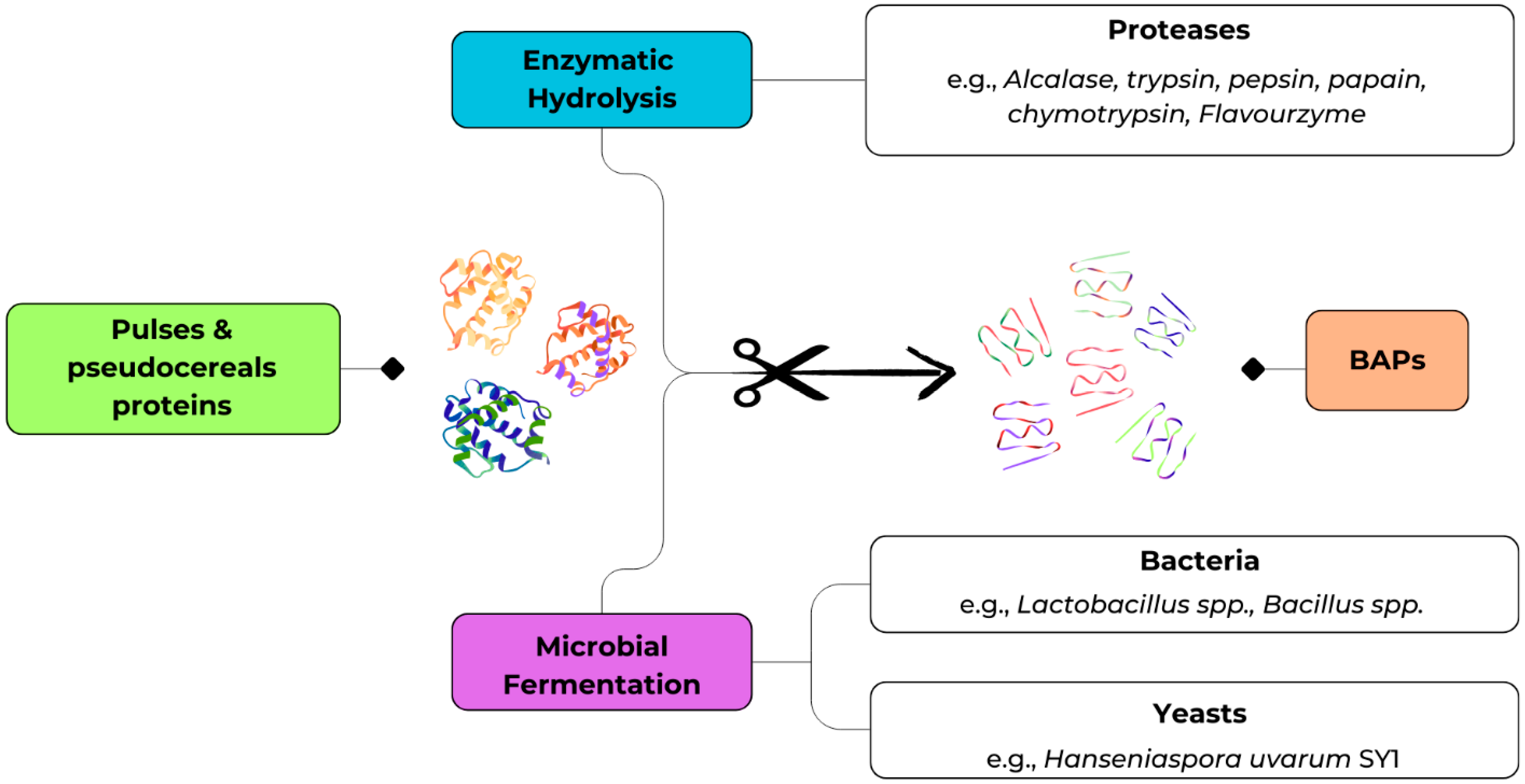 Molecules 30 04304 g002 Molecules 30 04304 g002