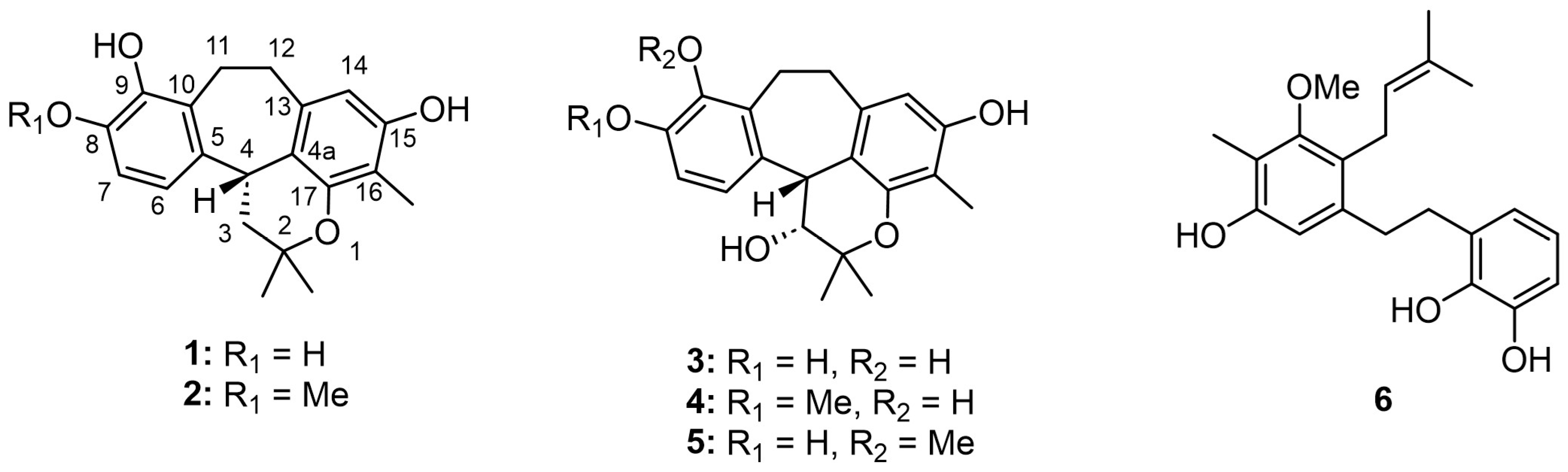 Molecules 30 04308 g001 Molecules 30 04308 g001