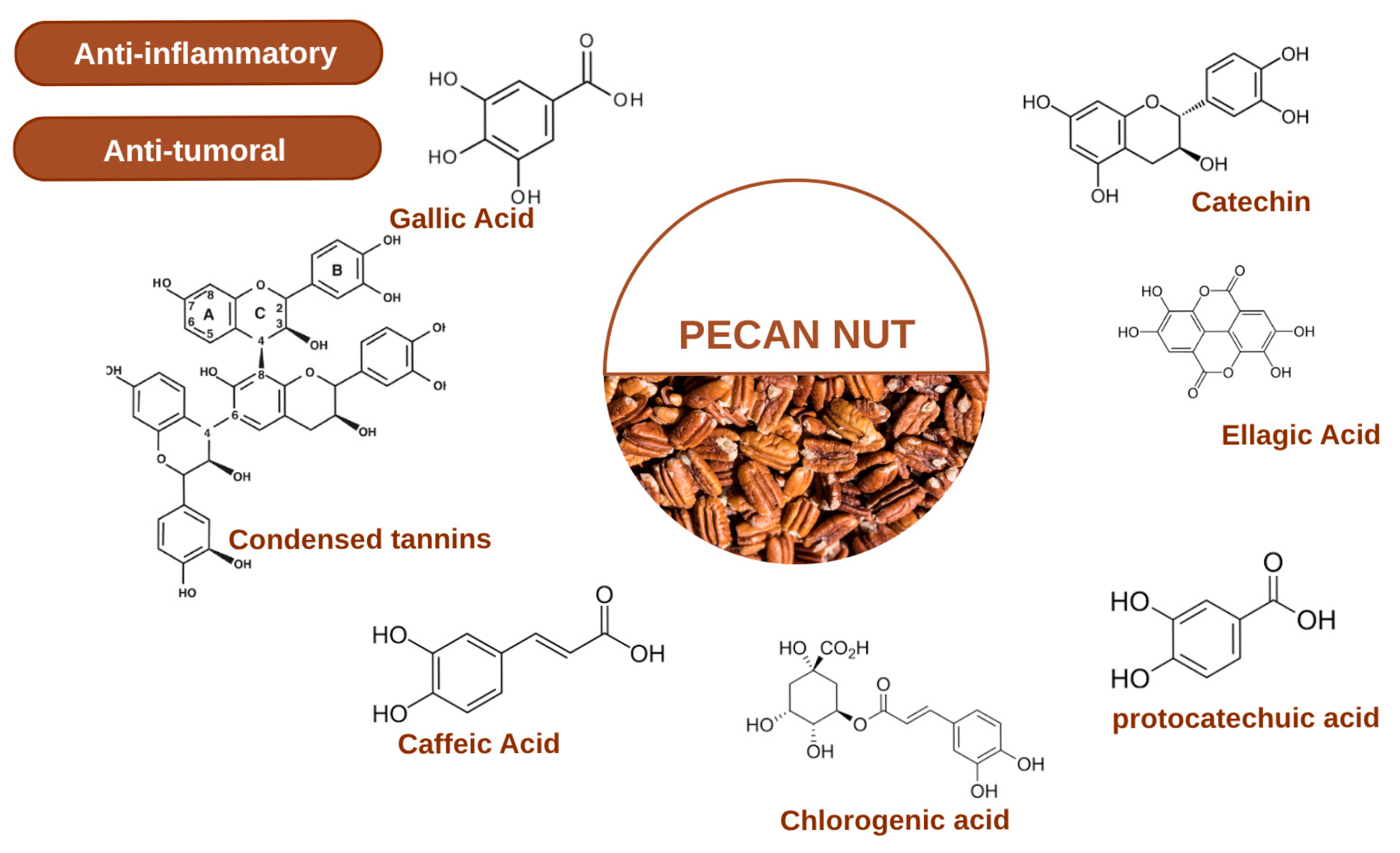 Molecules 30 04310 g001