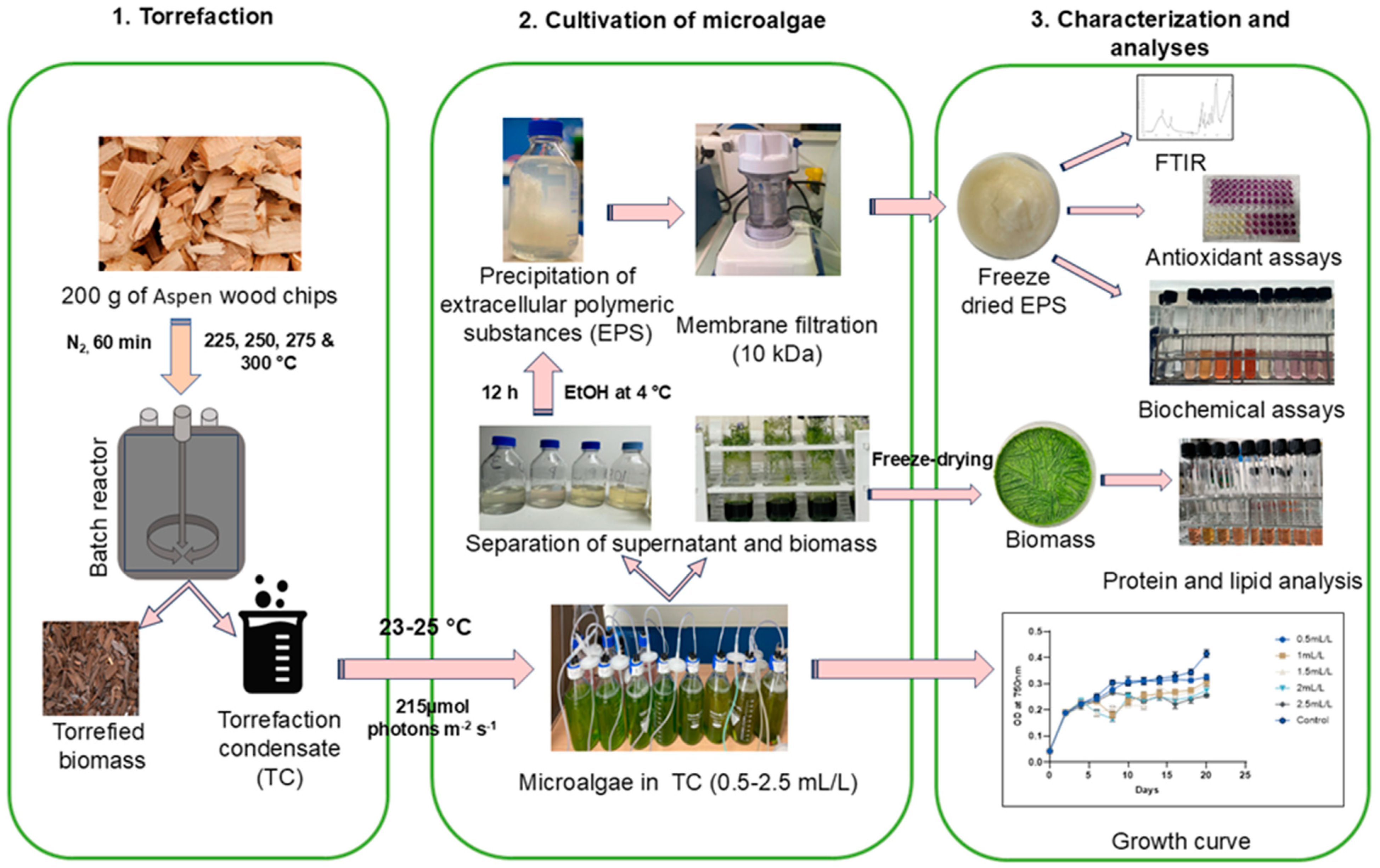 Molecules 30 04313 g008 Molecules 30 04313 g008