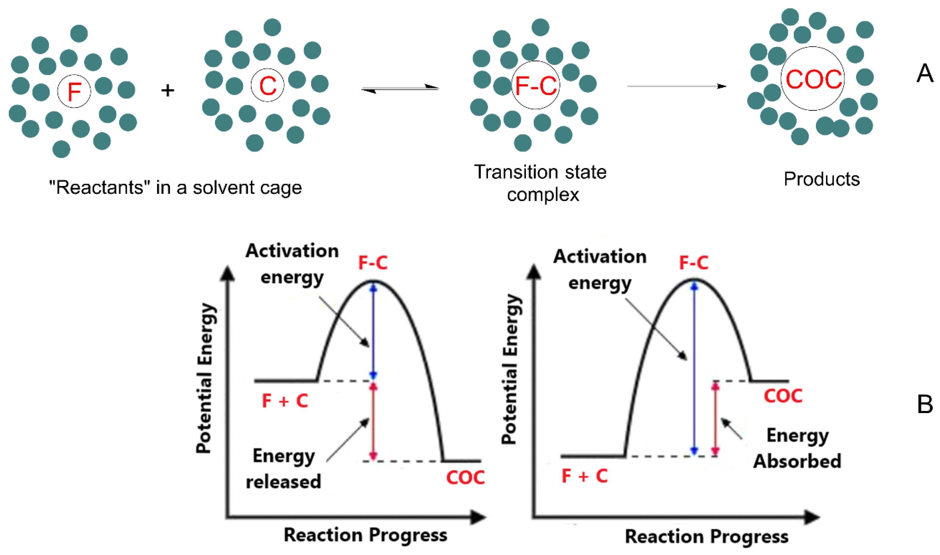 Molecules 30 04315 g003 Molecules 30 04315 g003