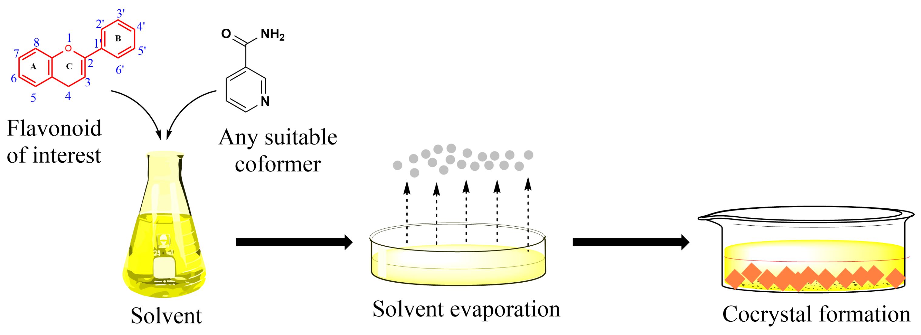 Molecules 30 04315 g005 Molecules 30 04315 g005
