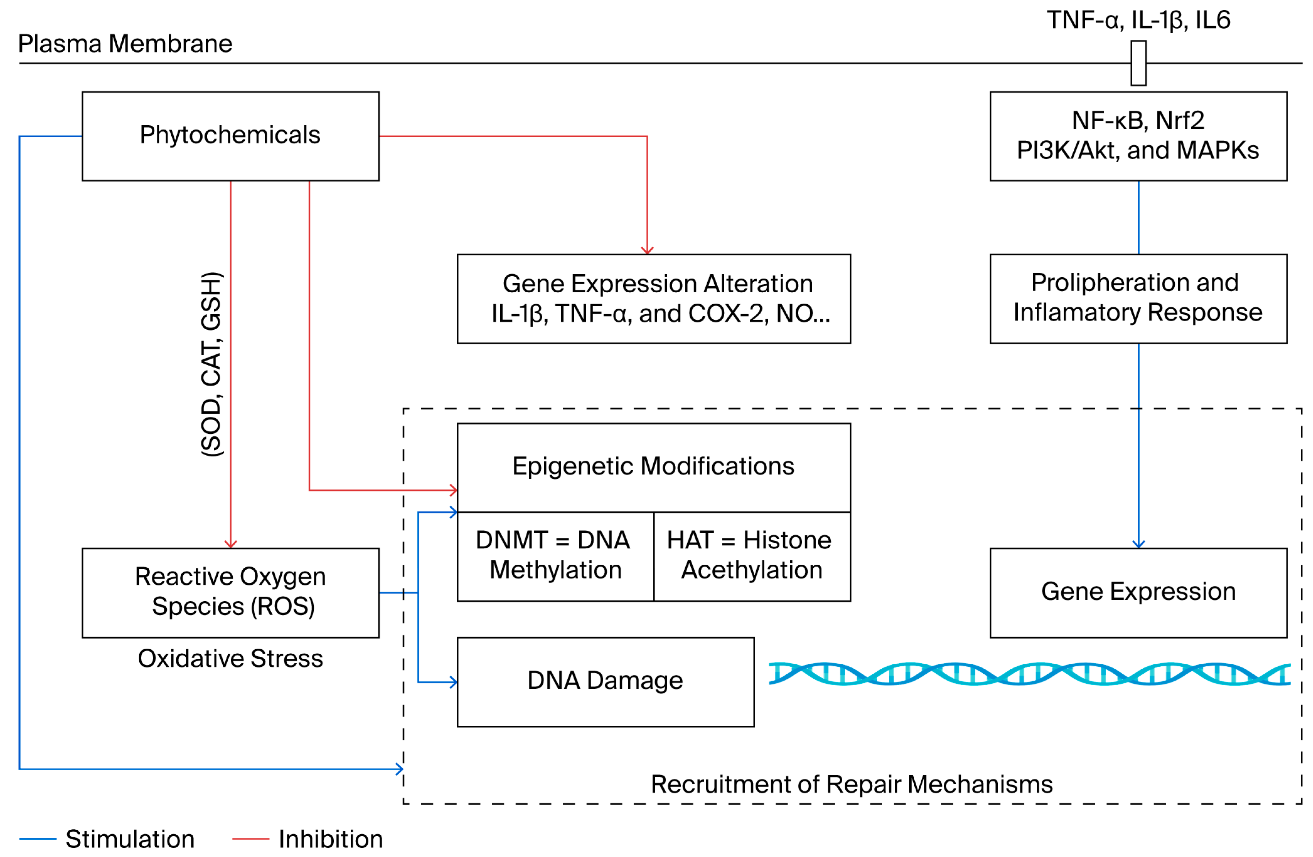 Molecules 30 04317 g001 Molecules 30 04317 g001