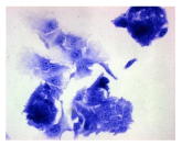 Molecules 30 04319 i001