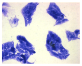 Molecules 30 04319 i003