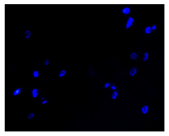 Molecules 30 04319 i005