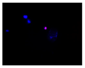 Molecules 30 04319 i007