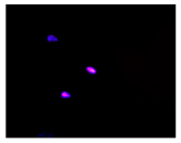 Molecules 30 04319 i008
