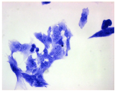 Molecules 30 04319 i014