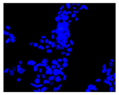 Molecules 30 04319 i017