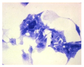 Molecules 30 04319 i025