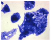 Molecules 30 04319 i026