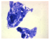 Molecules 30 04319 i027