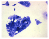 Molecules 30 04319 i028