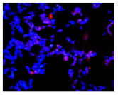 Molecules 30 04319 i030