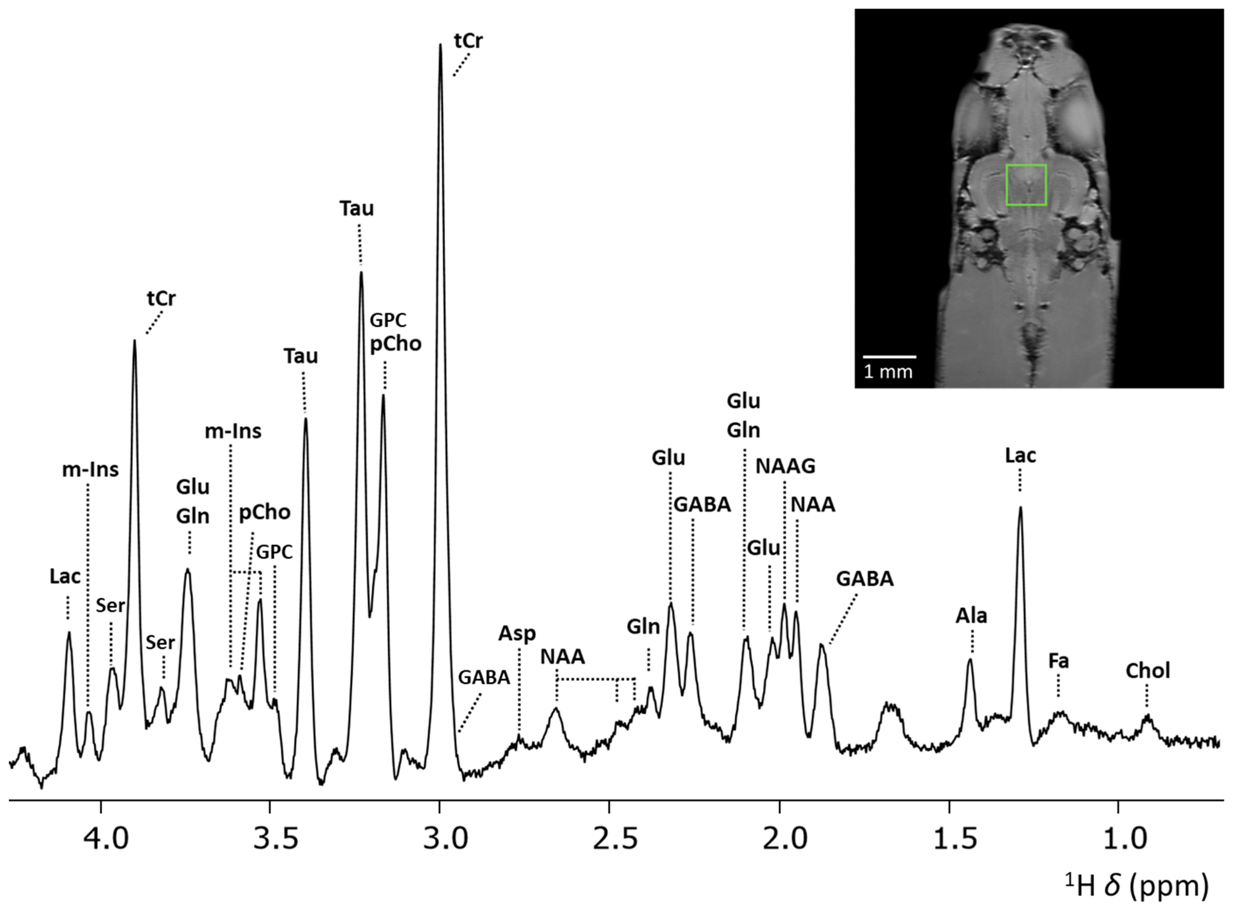 Molecules 30 04320 g004 Molecules 30 04320 g004
