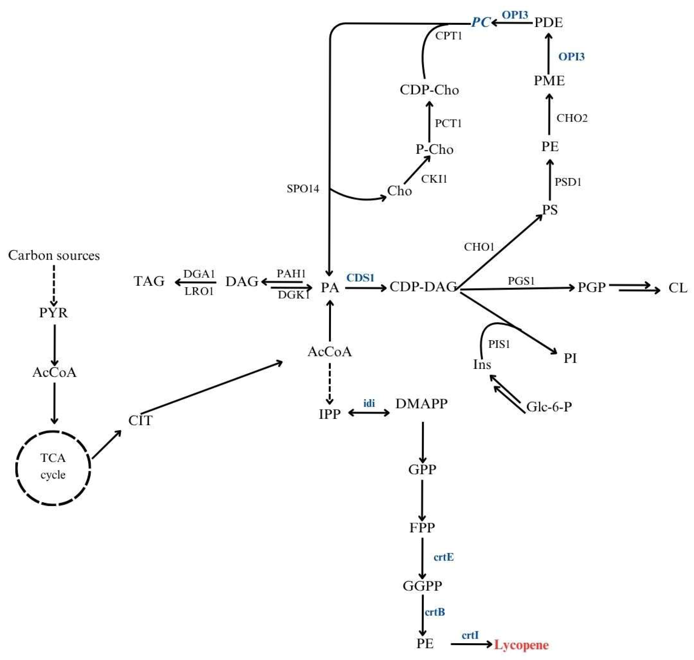 Molecules 30 04321 g001