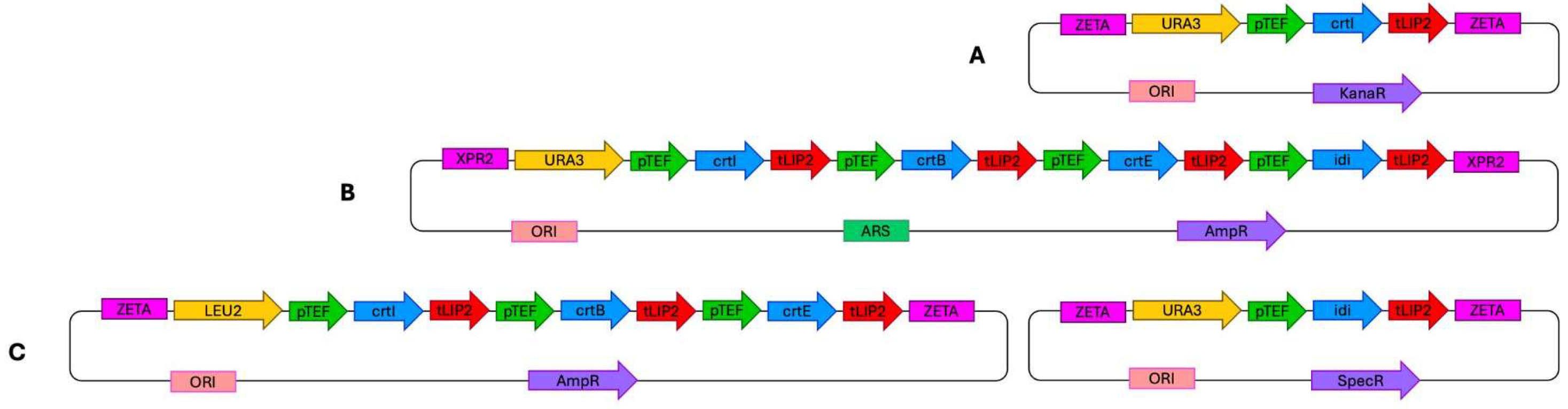 Molecules 30 04321 g006