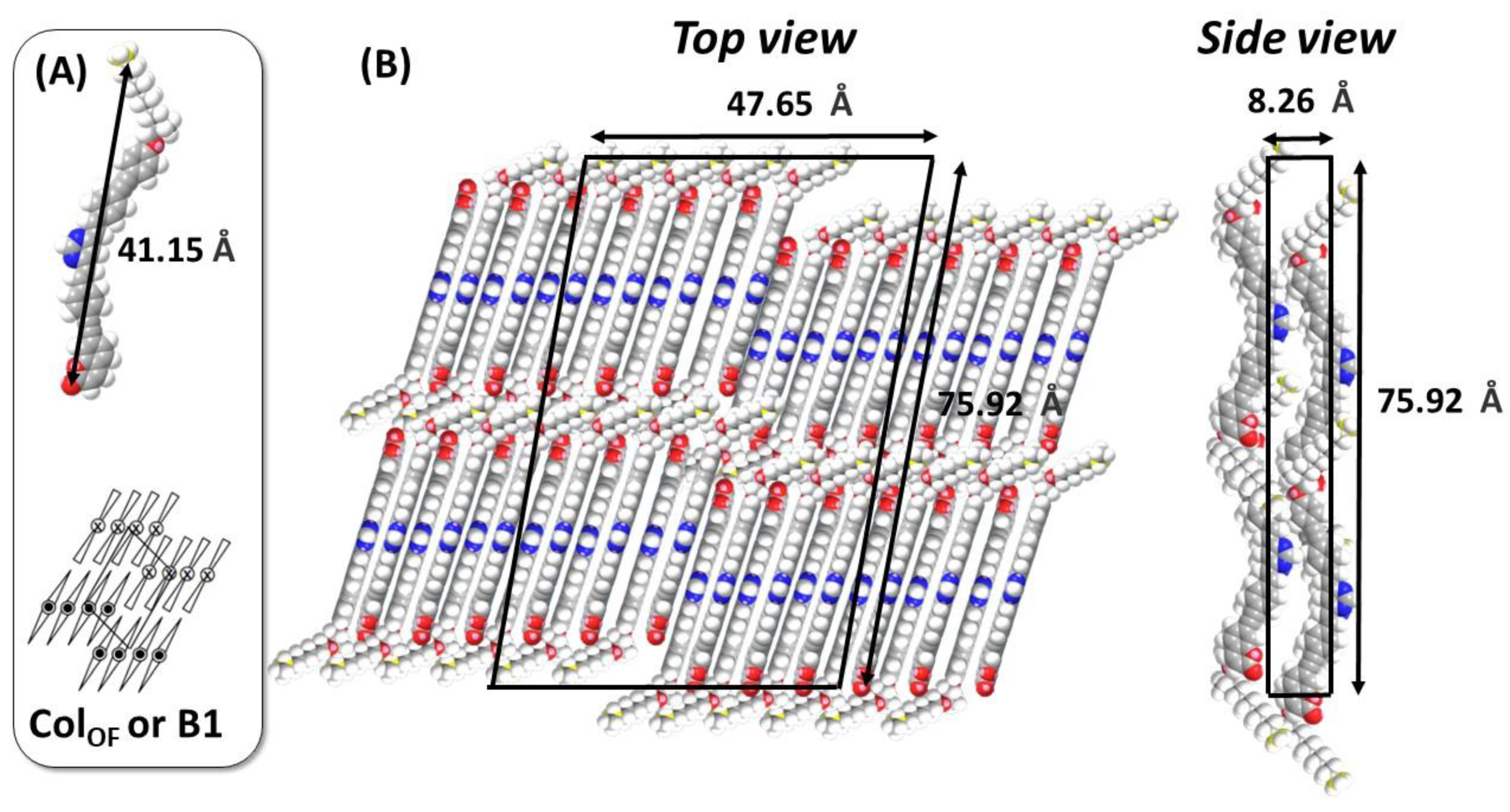Molecules 30 04322 g003 Molecules 30 04322 g003