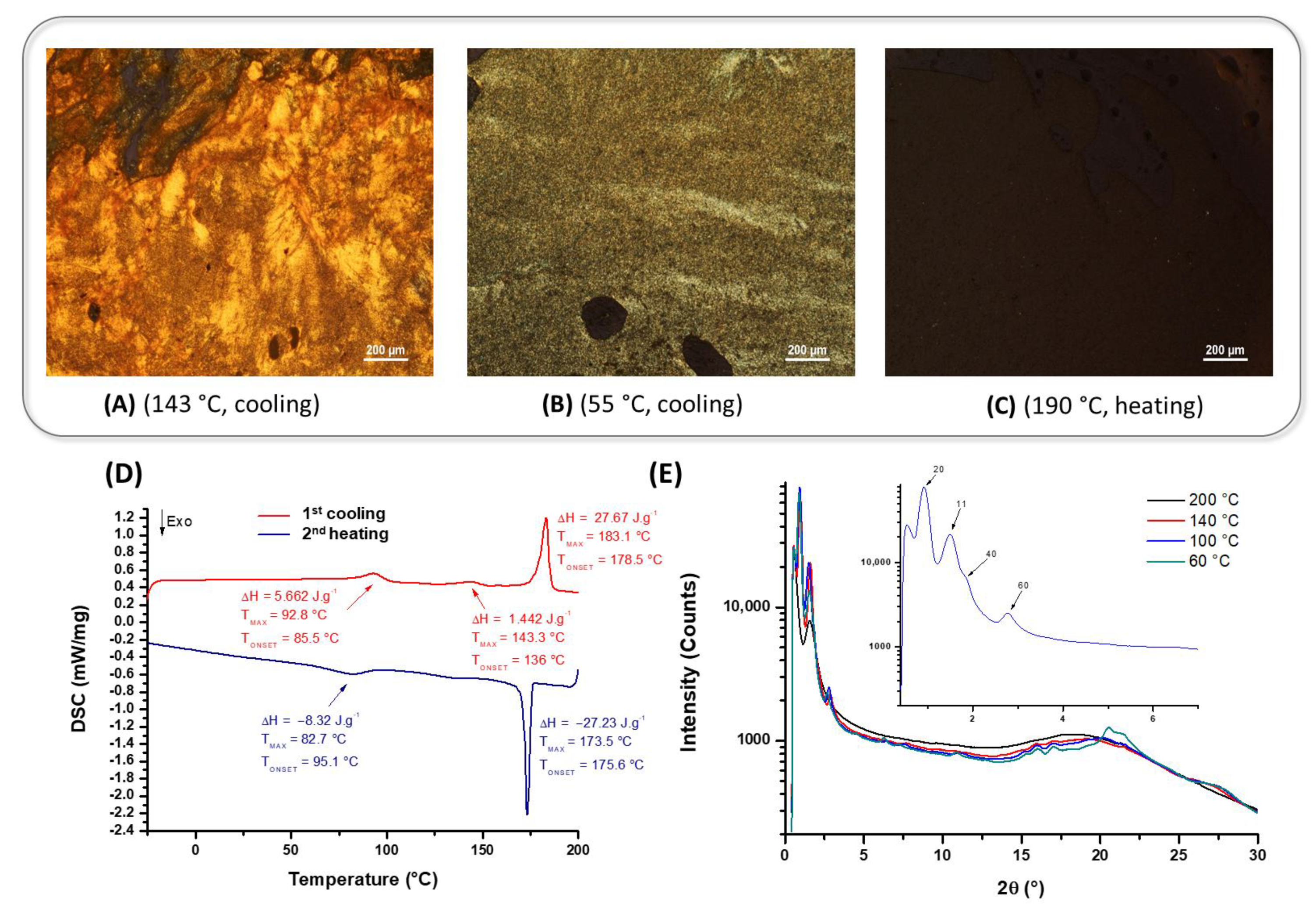 Molecules 30 04322 g004 Molecules 30 04322 g004