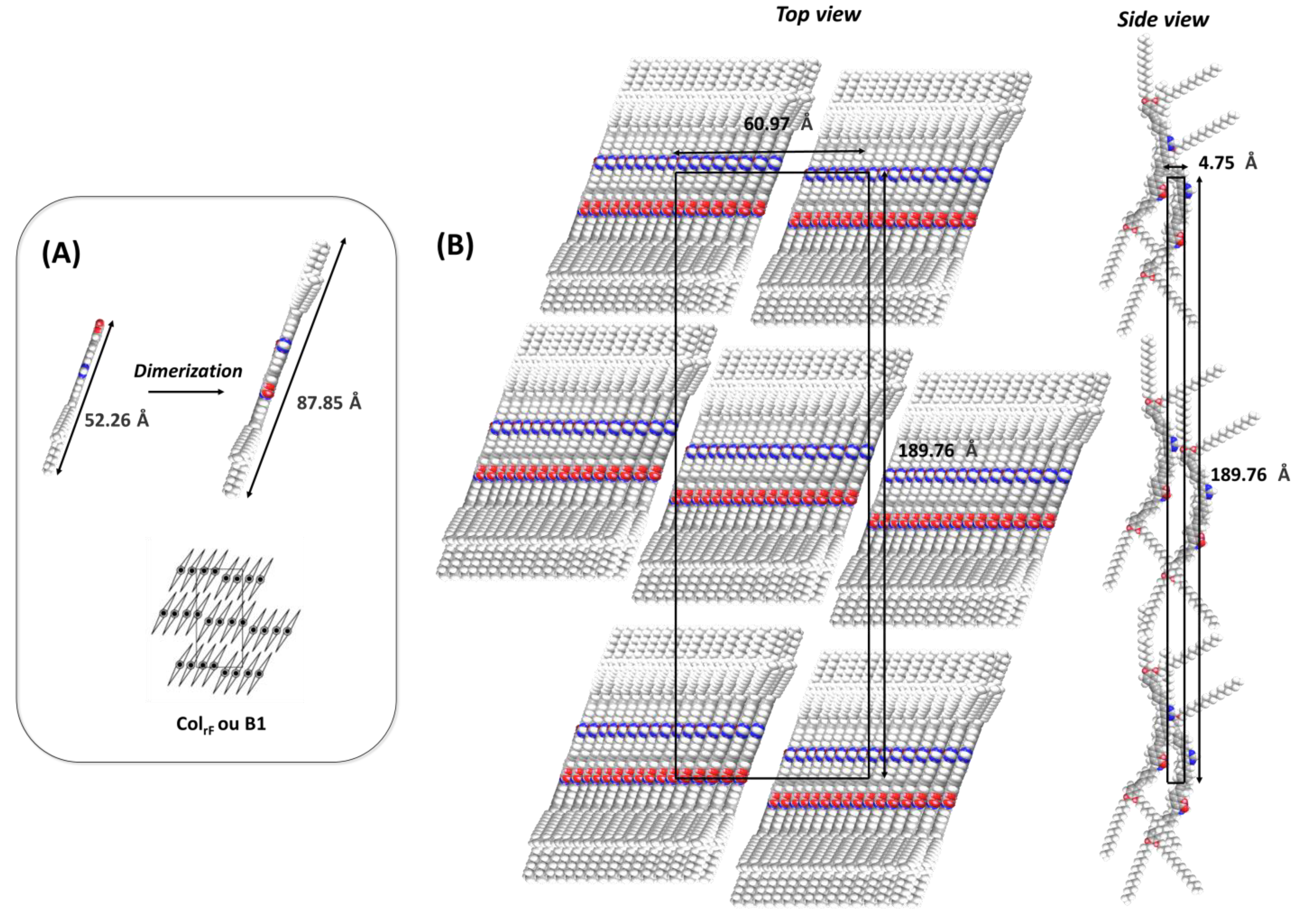 Molecules 30 04322 g005 Molecules 30 04322 g005