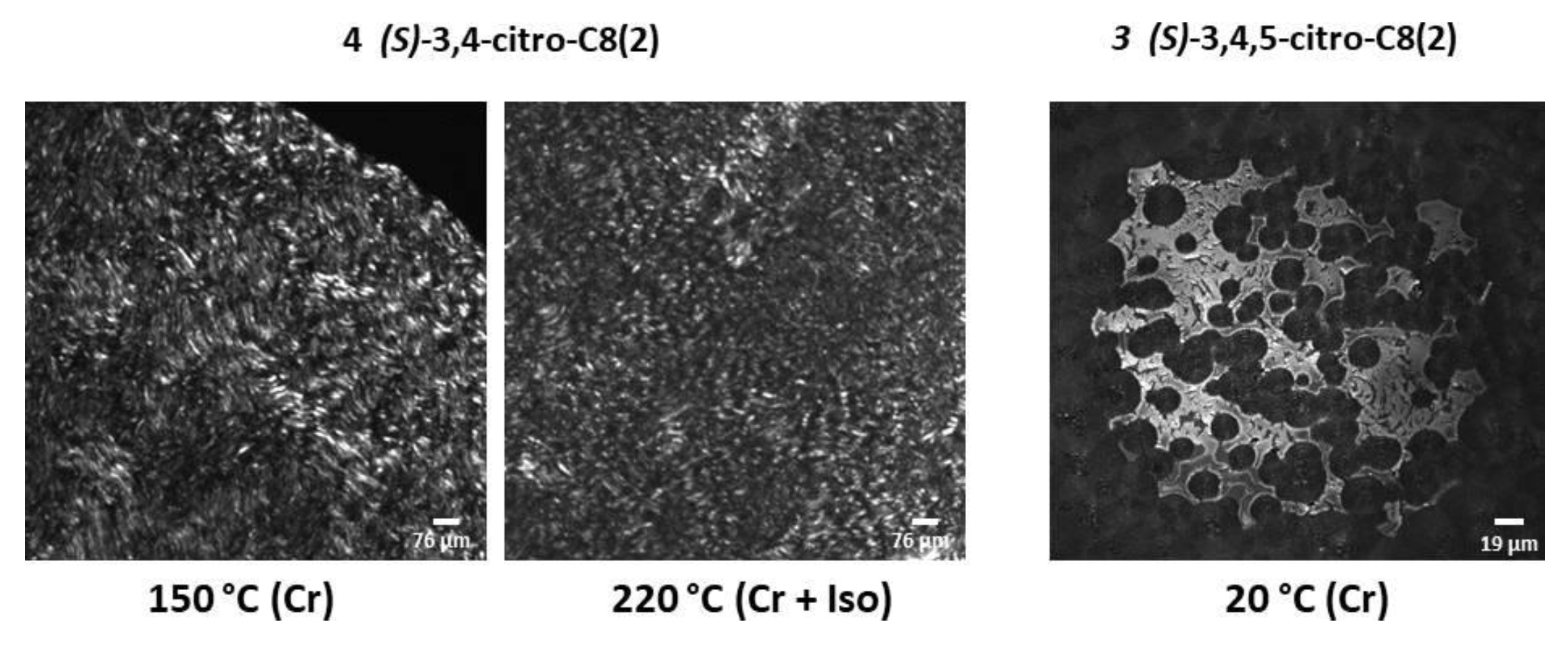 Molecules 30 04322 g009 Molecules 30 04322 g009