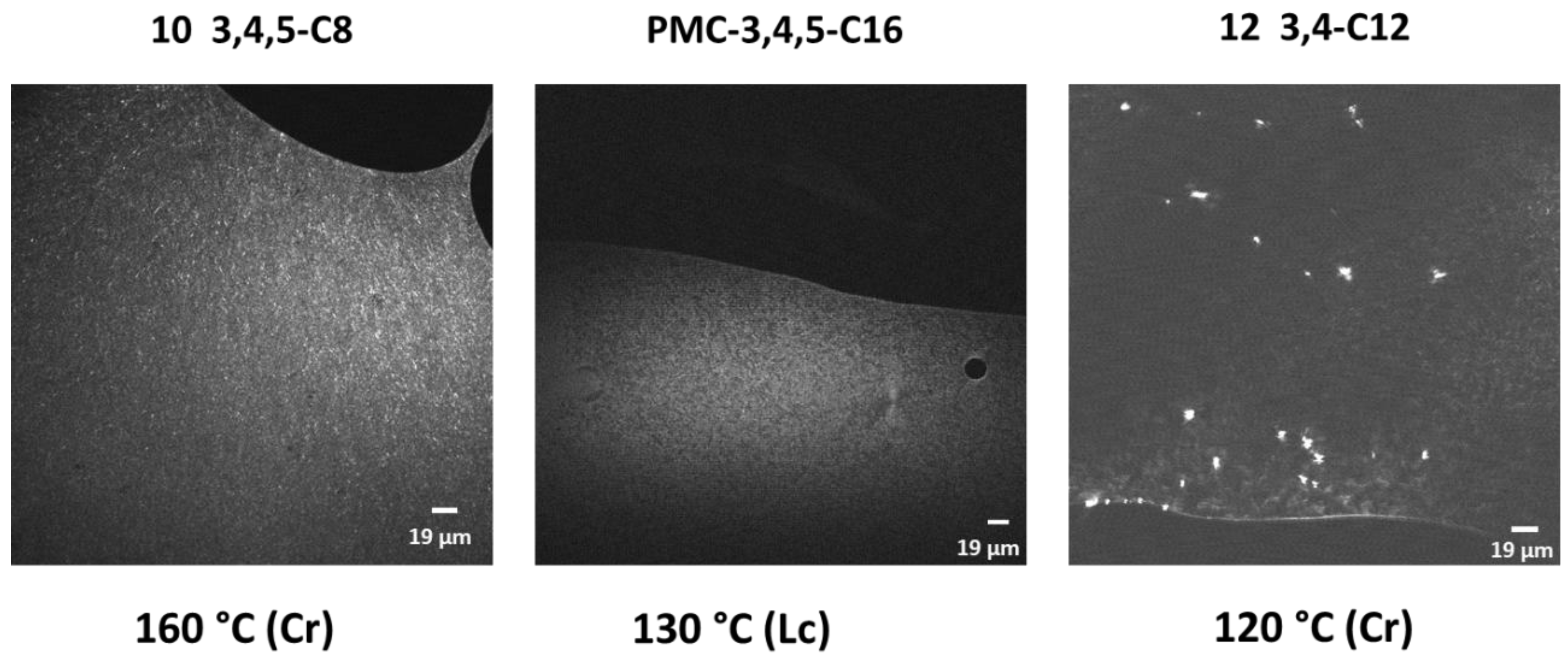Molecules 30 04322 g014 Molecules 30 04322 g014