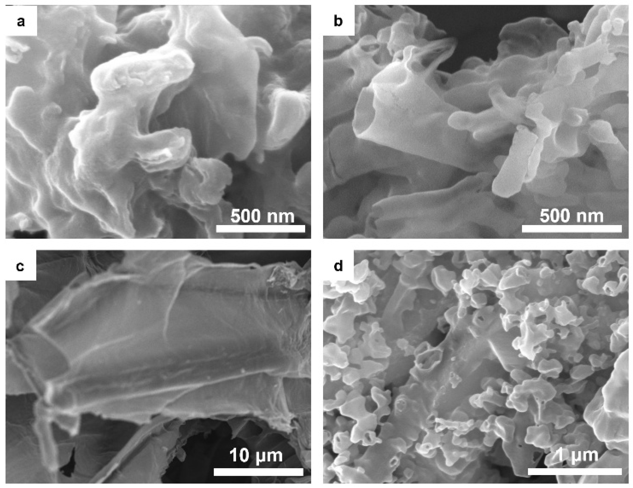 Molecules 30 04323 g003