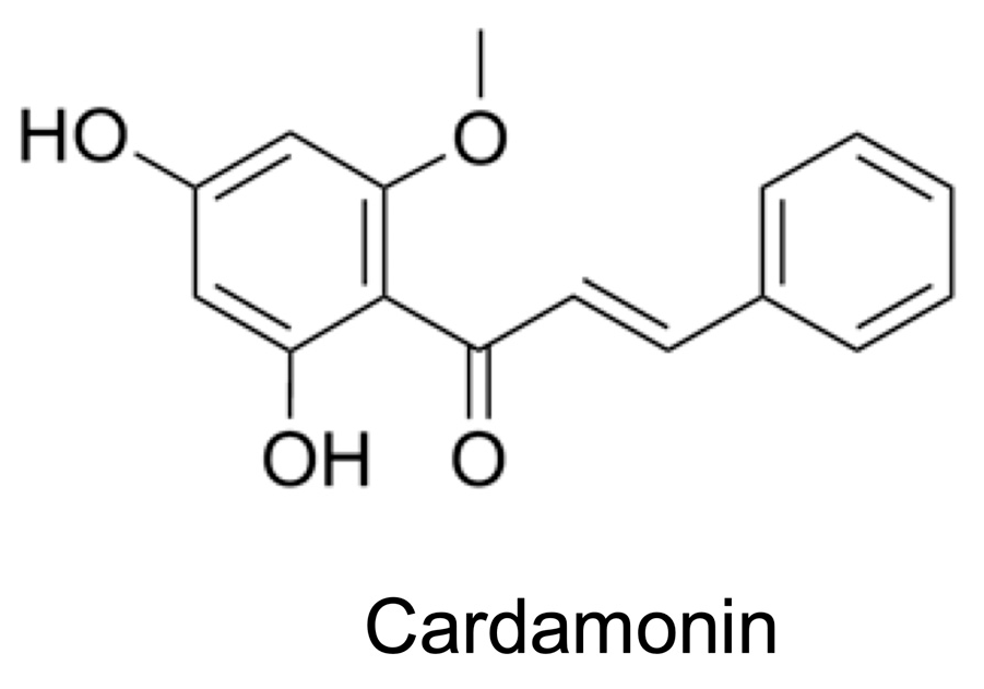 Molecules 30 04324 g001