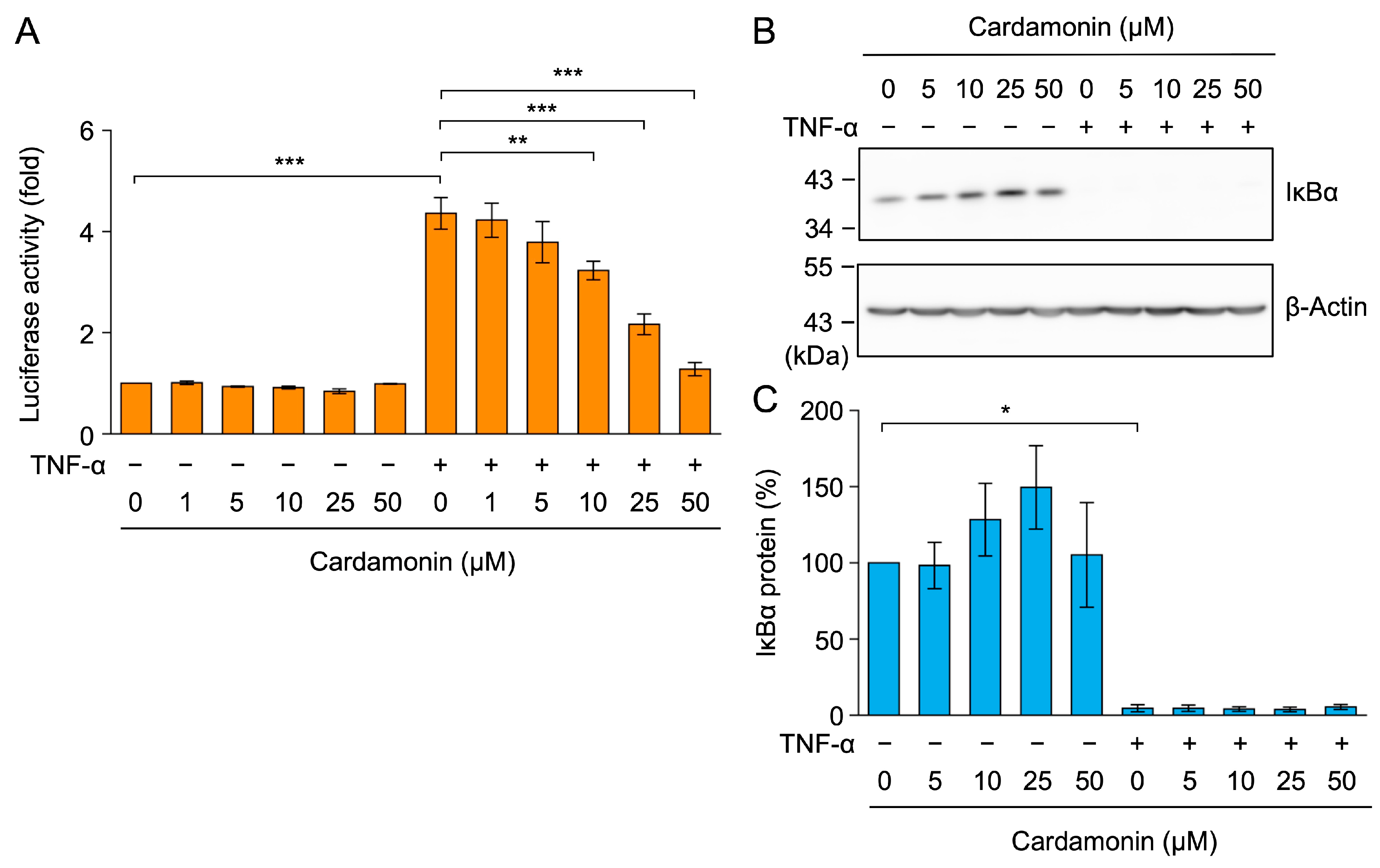 Molecules 30 04324 g004