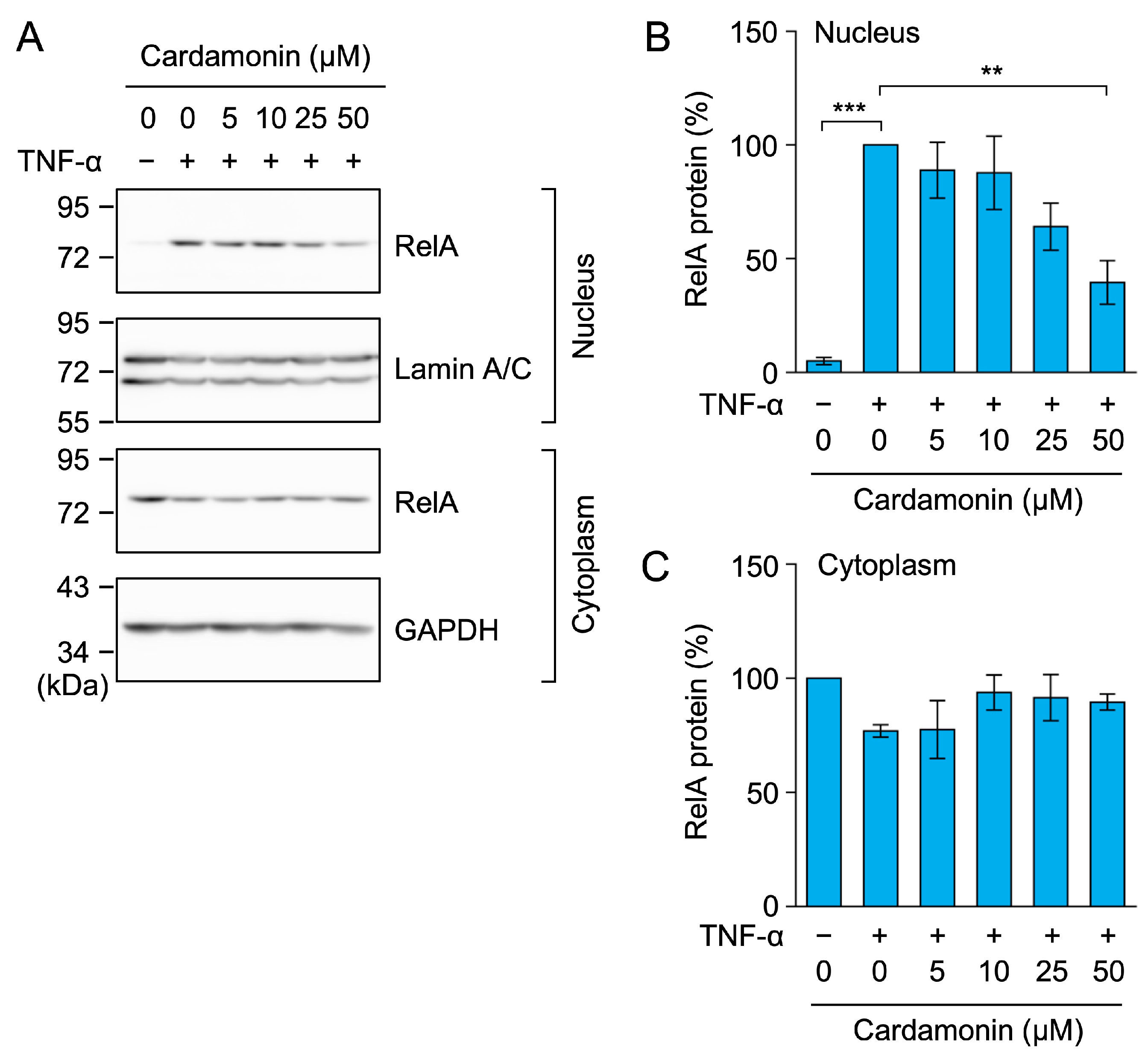 Molecules 30 04324 g005