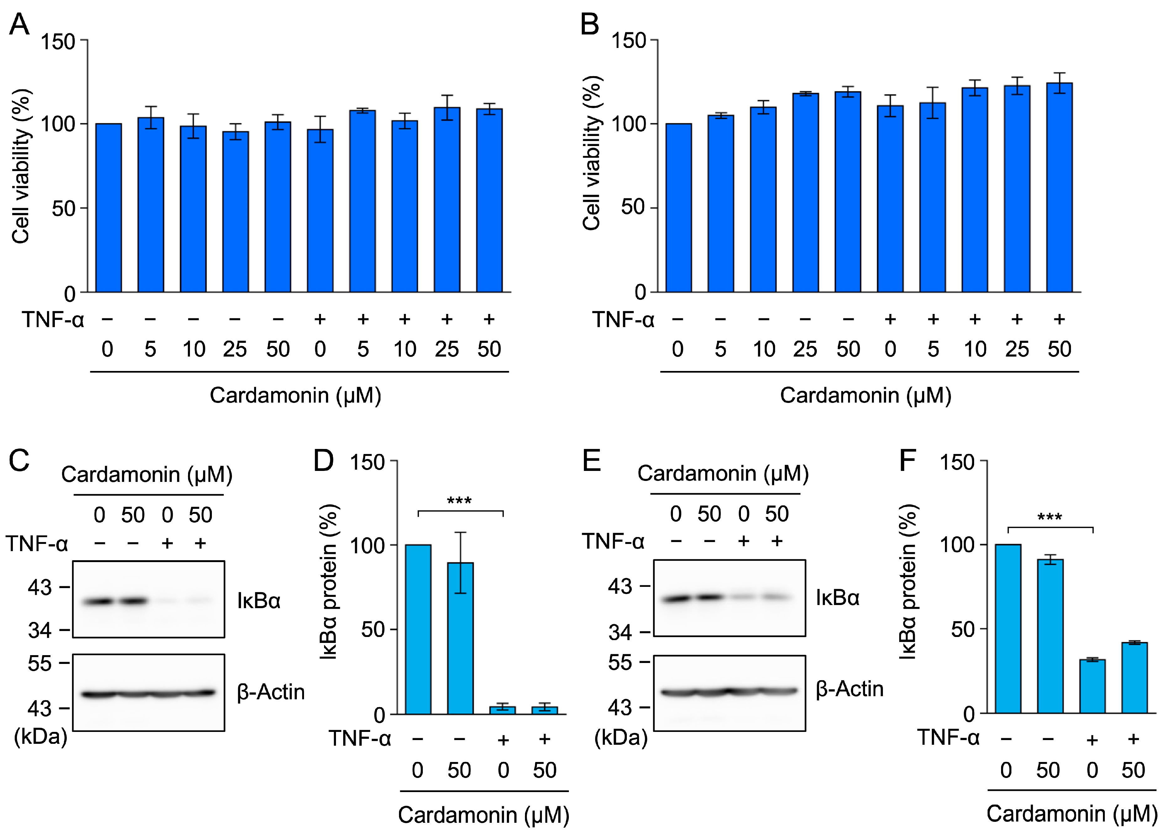 Molecules 30 04324 g006