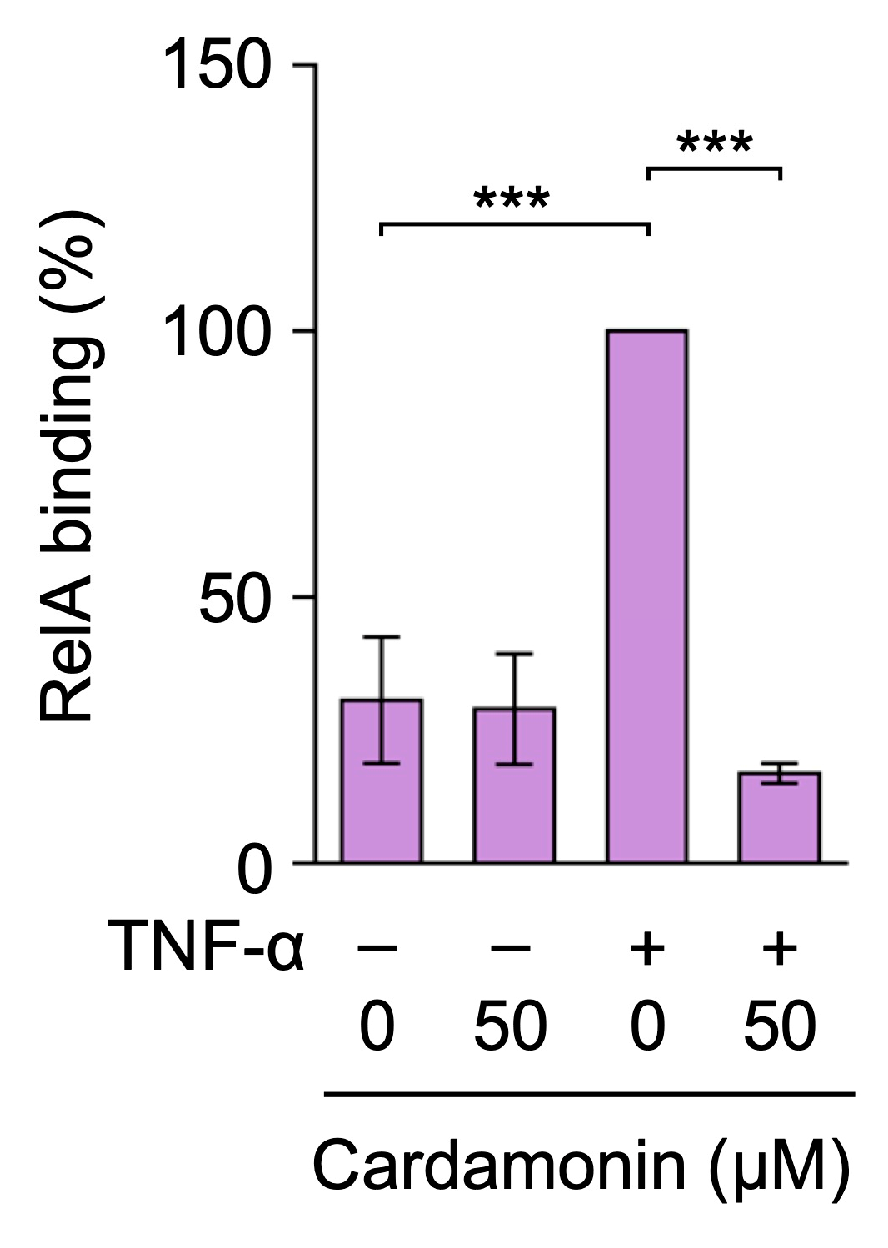 Molecules 30 04324 g008