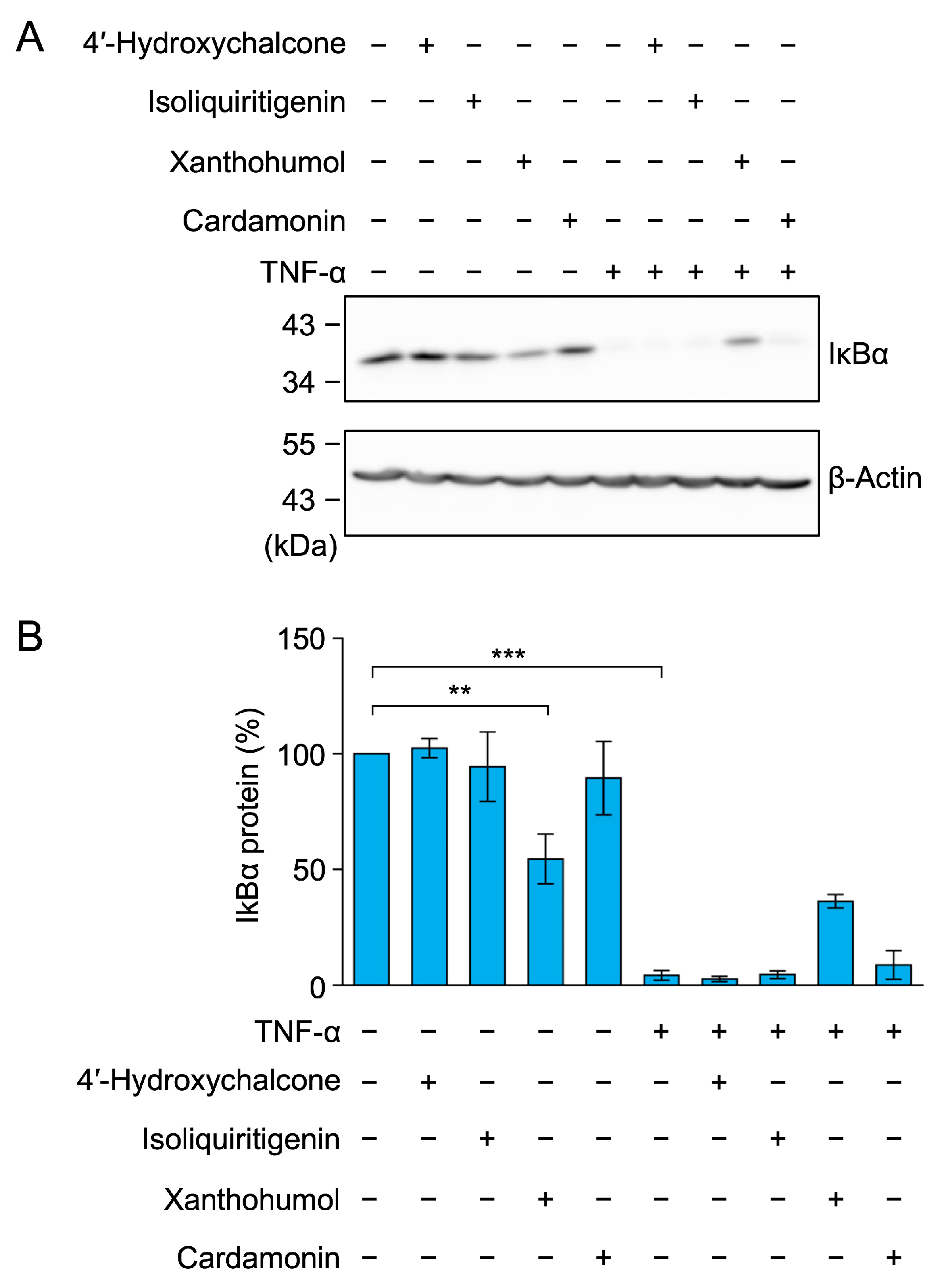 Molecules 30 04324 g010
