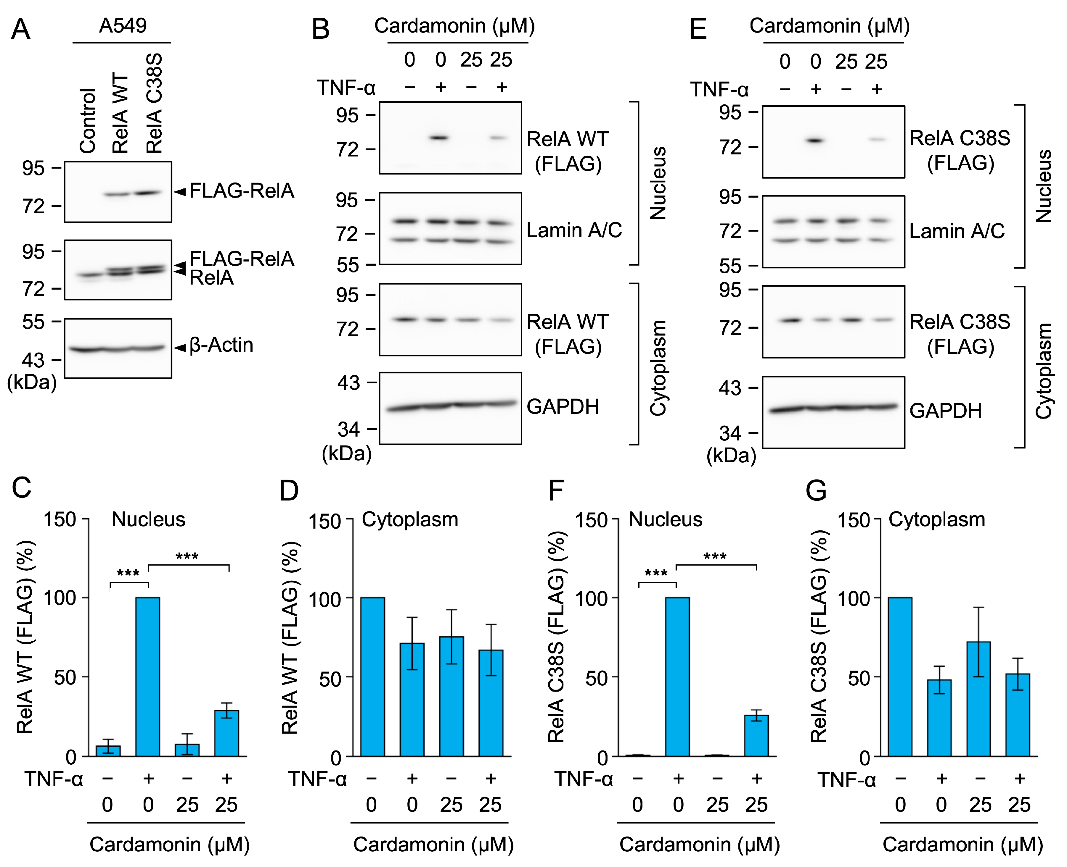 Molecules 30 04324 g012
