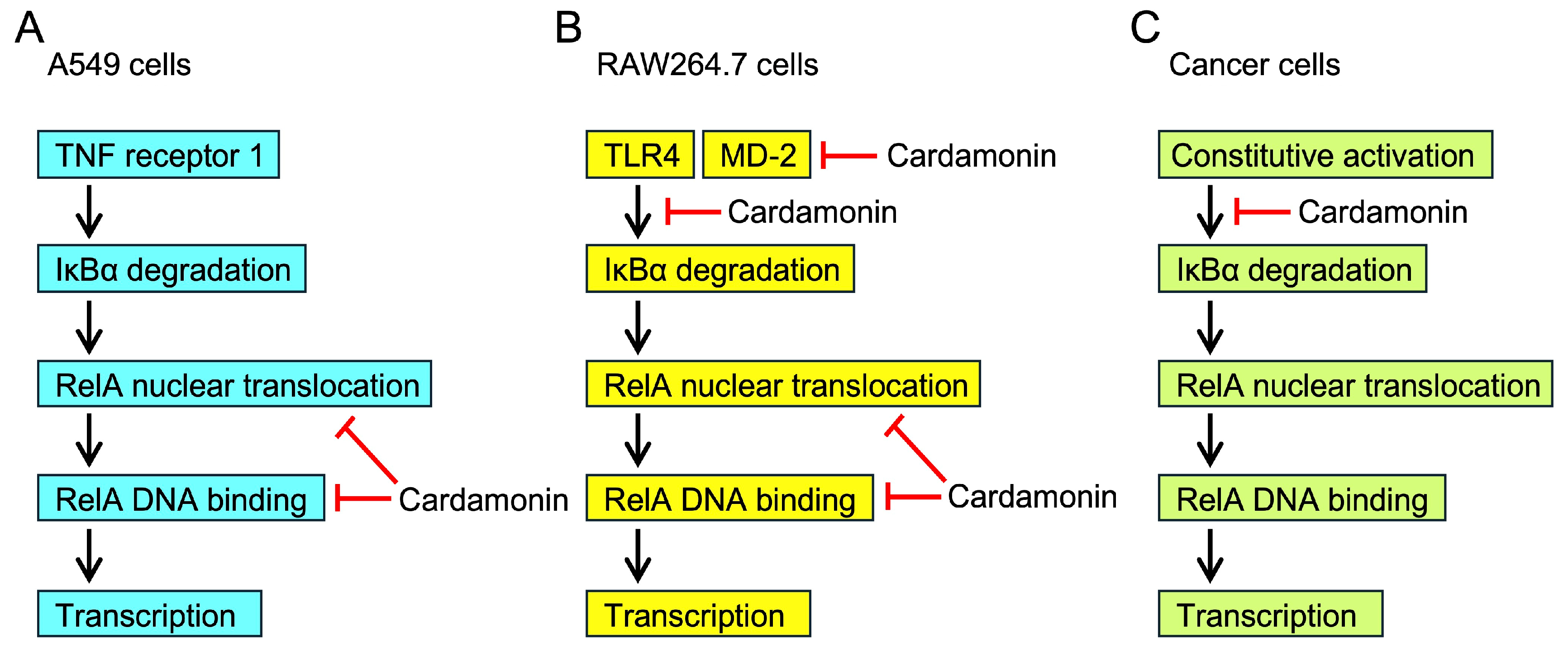 Molecules 30 04324 g015