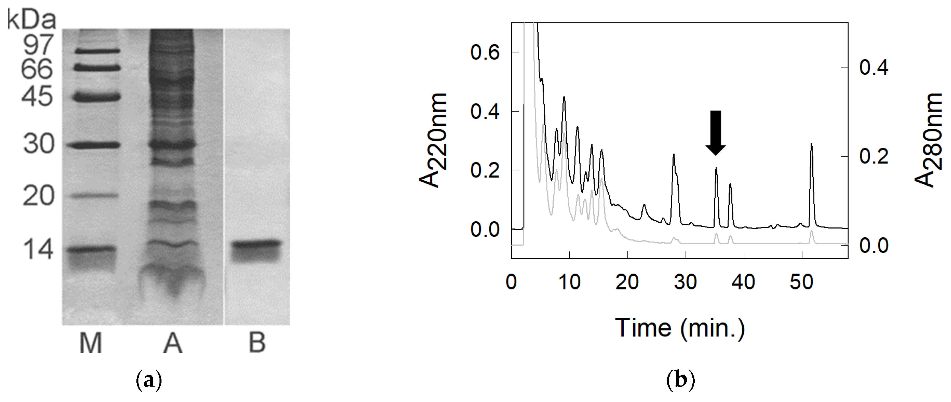 Molecules 30 04327 g001 Molecules 30 04327 g001