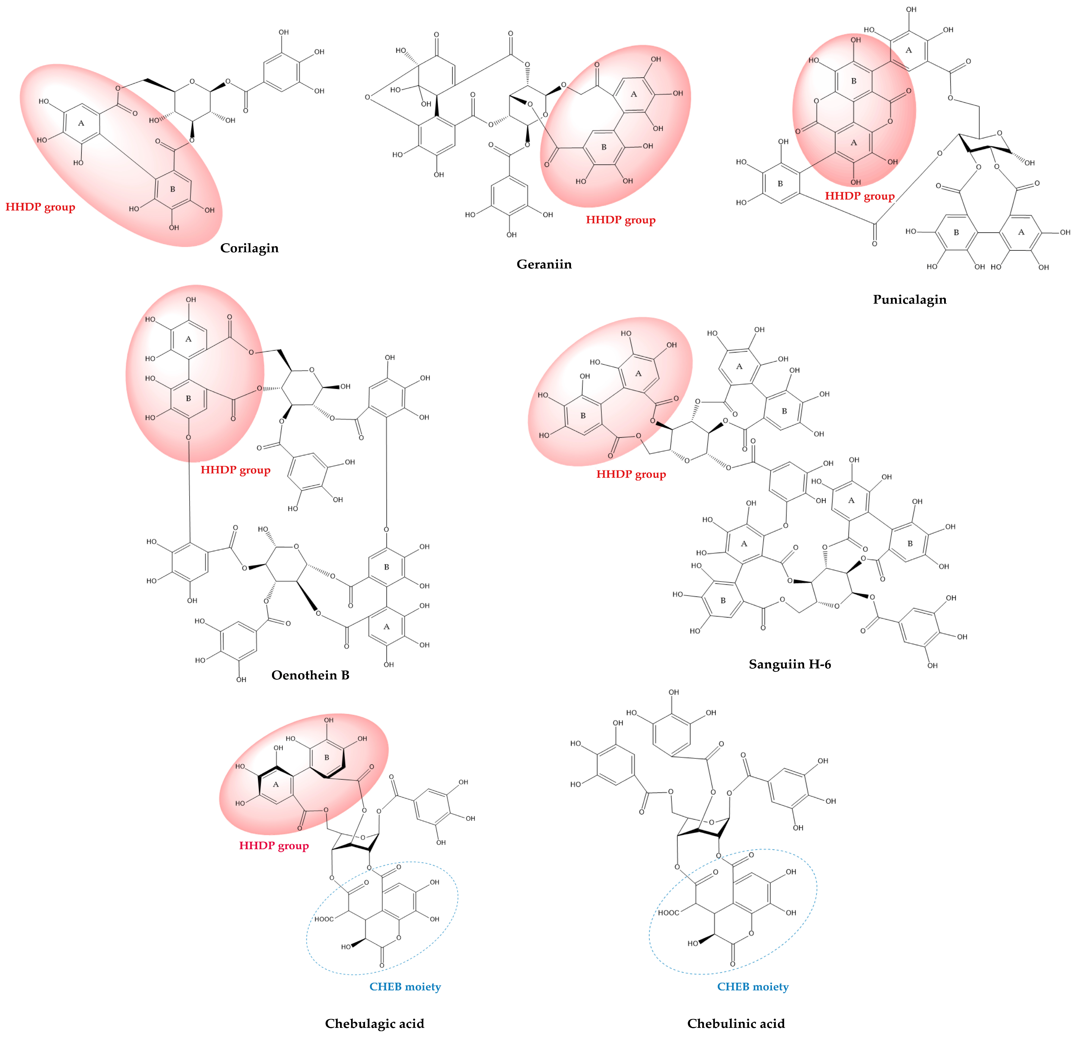 Molecules 30 04328 g002 Molecules 30 04328 g002