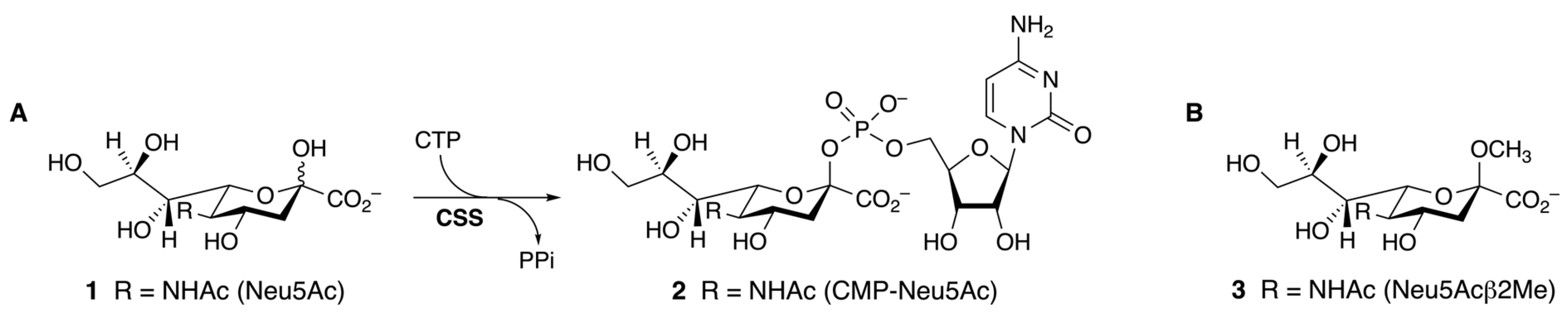 Molecules 30 04329 g001 Molecules 30 04329 g001