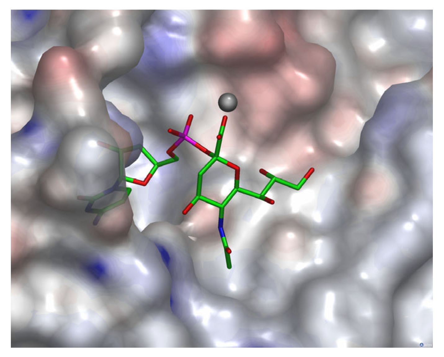Molecules 30 04329 g002 Molecules 30 04329 g002