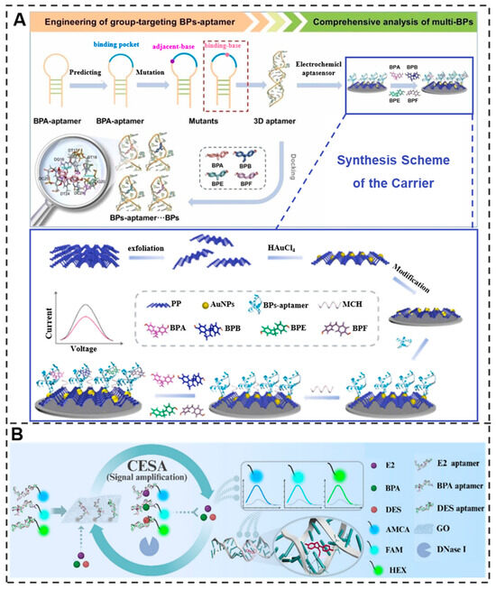Aptamer-Based Biosensors for Rapid Detection and Early Warning of