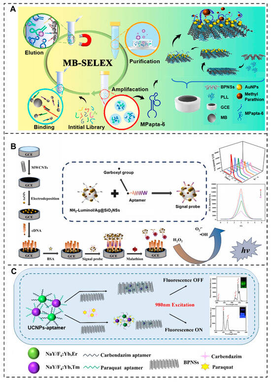 Aptamer-Based Biosensors for Rapid Detection and Early Warning of