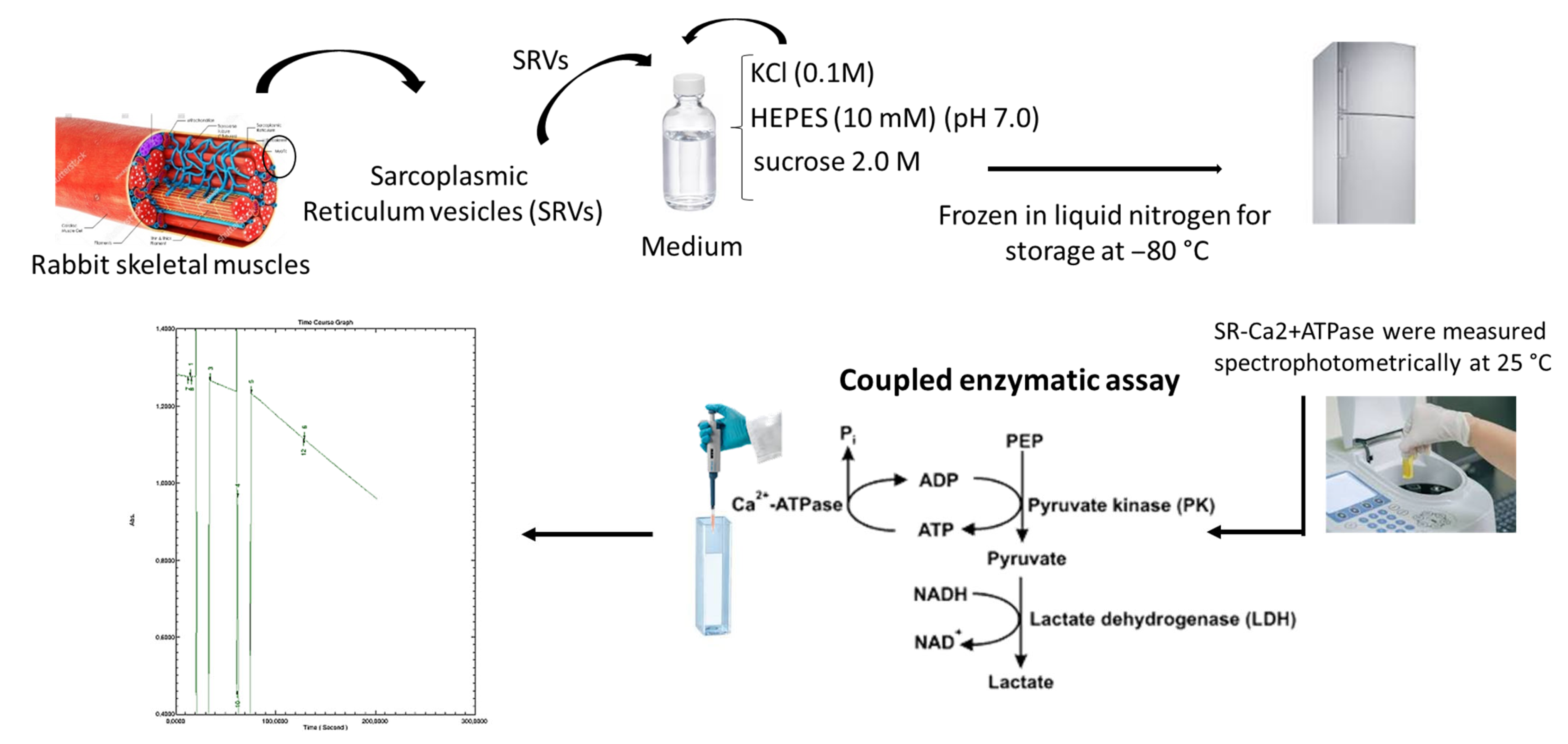 Molecules 30 04334 g011