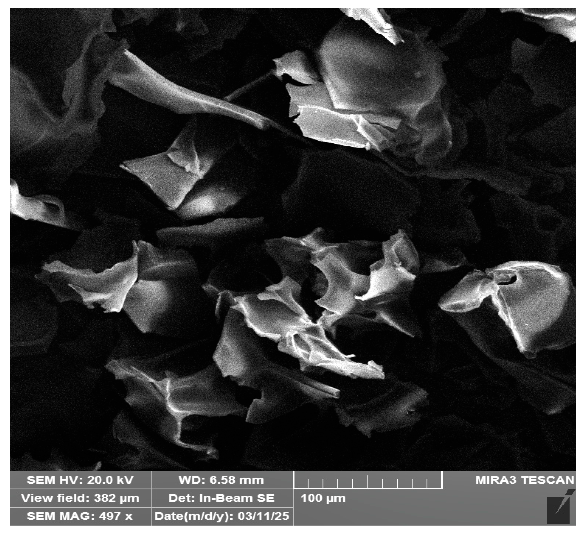 Molecules 30 04337 g002