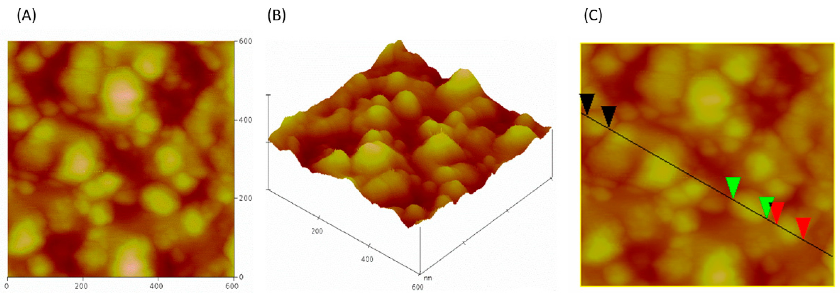 Molecules 30 04337 g006