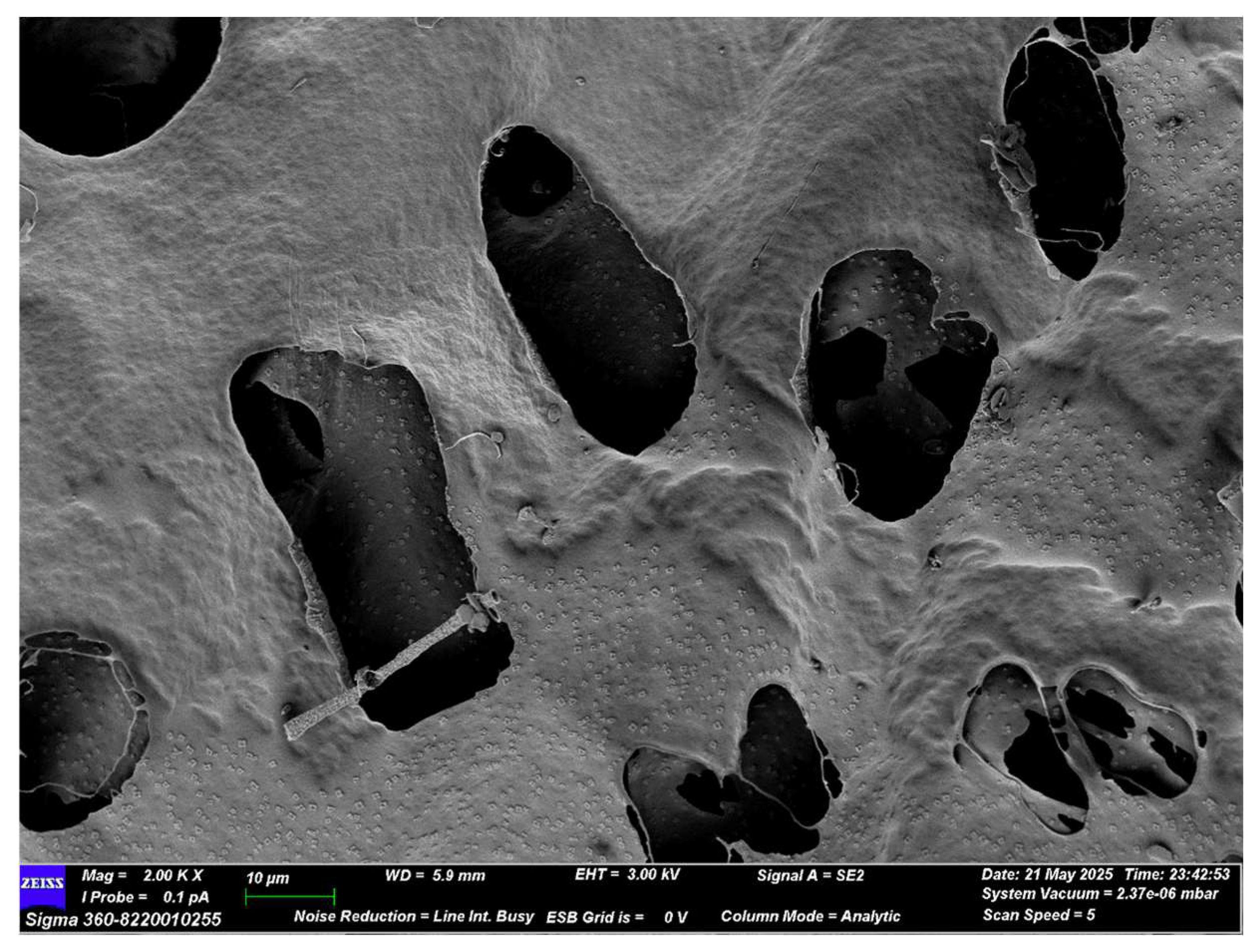 Molecules 30 04340 g007